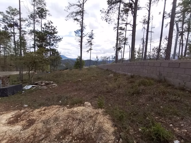 1,247 m² lot in gated Tres Rosas, Valle de Ángeles — photo 4