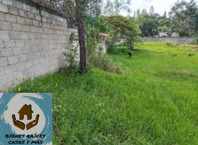 11,680 vara² walled lot in El Tablón, Valle de Ángeles — photo 4