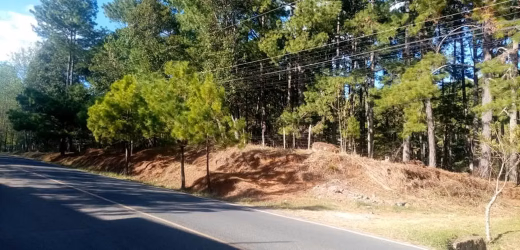 3,213 vara² lot in El Zarzal, Valle de Ángeles — foto 3