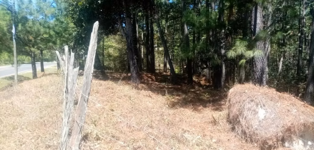 3,213 vara² lot in El Zarzal, Valle de Ángeles — foto 4