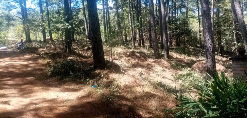 3,213 vara² lot in El Zarzal, Valle de Ángeles — foto 5