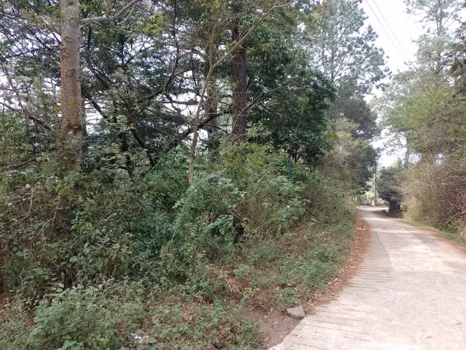 1,215 m² corner lot in Las Quebraditas, Valle de Ángeles — foto 4